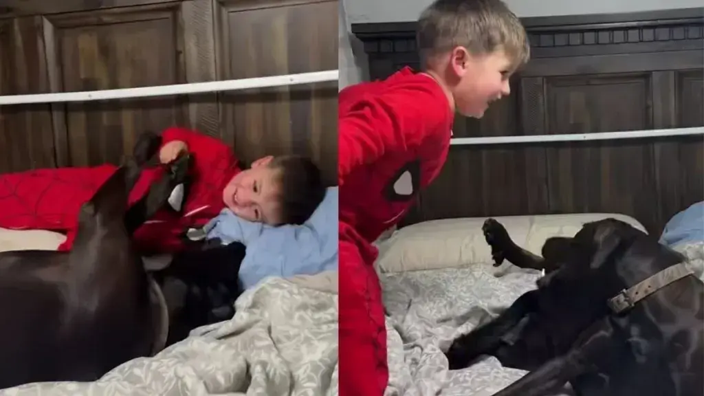 Neighbor's Dog Visits for Goodnight but Stays to Play with Kids