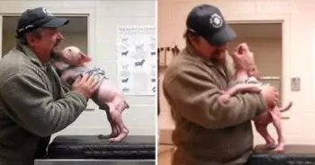 Nova Scotia Man Saves Pit Bull Puppy From Mange, Adopts Him