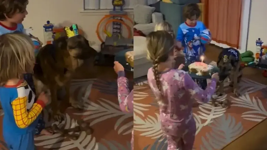 Pajama-Clad Kids Celebrate Beloved Pet's Milestone