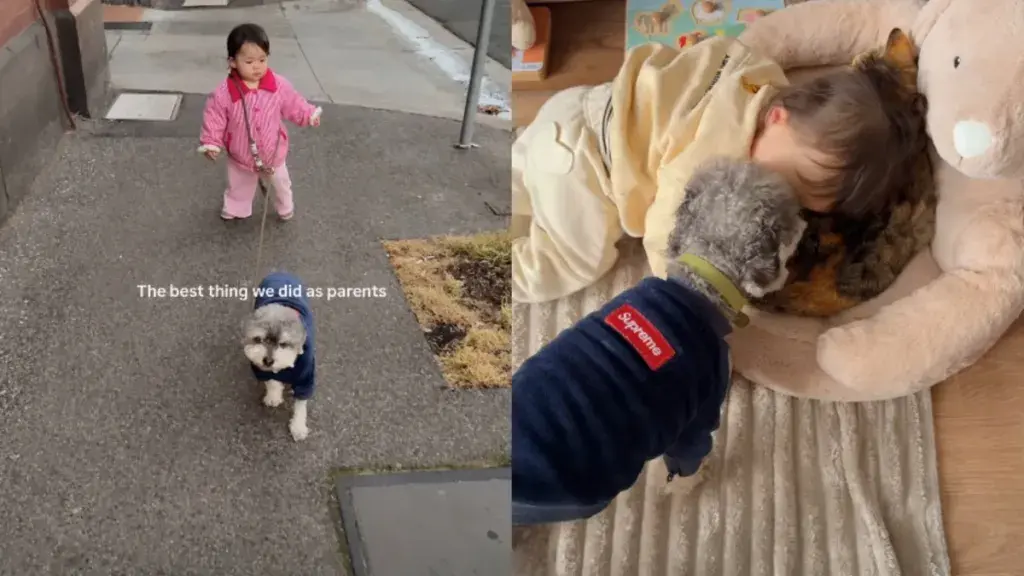 Rescue Dog & Toddler Welcome a New Cat, & Now They Are ‘Besties for Life’