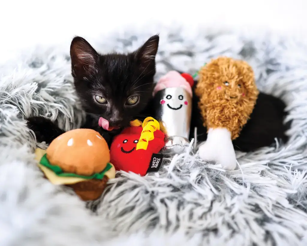 The Best Cat Toys for Every Play Style