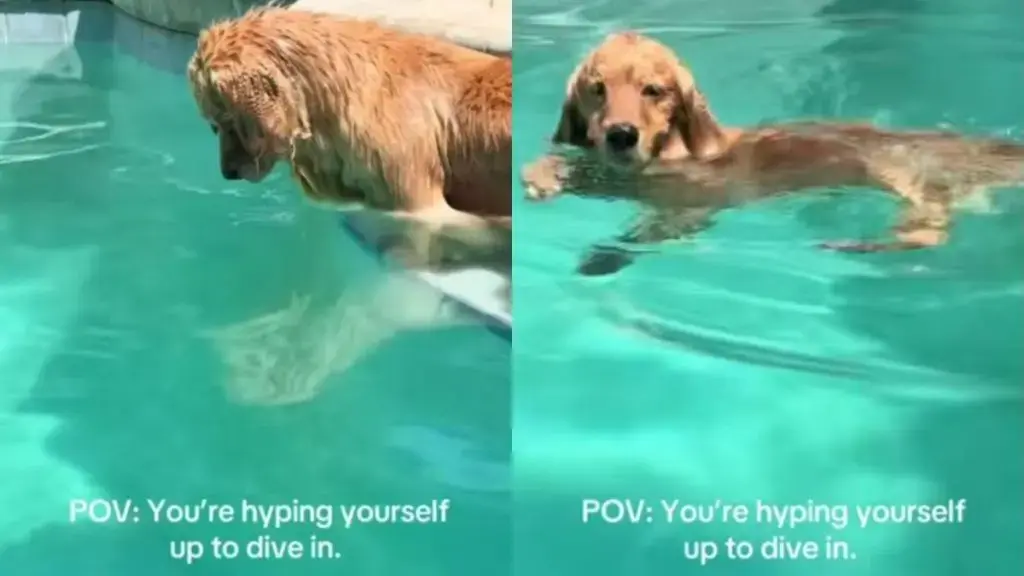 The Great Pool Investigation