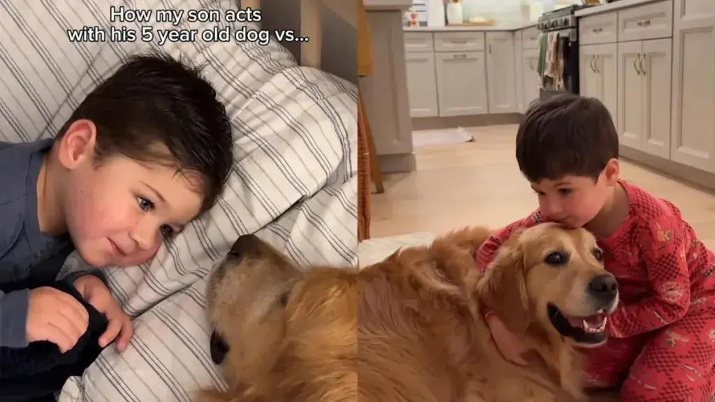 This Little Boy Is Learning That Golden Retriever Puppies Are a Different Breed of Chaos