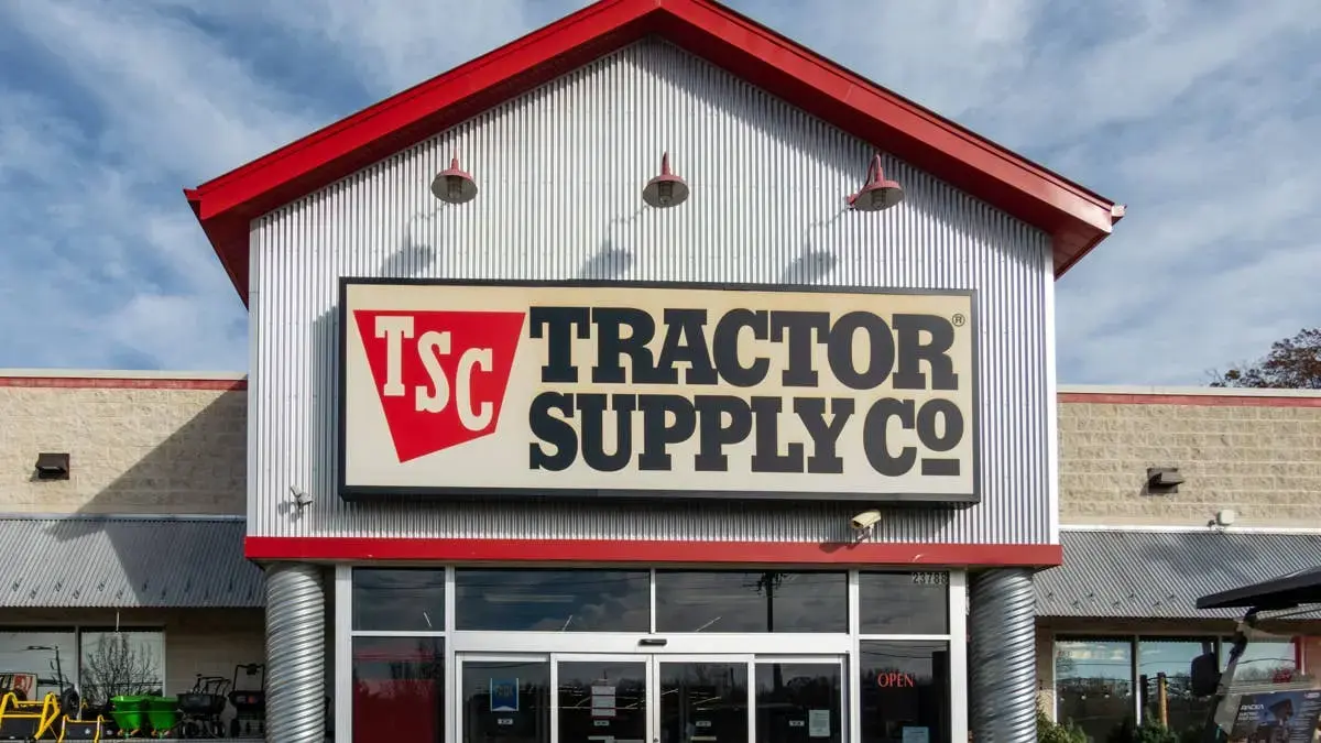 Tractor Supply Offers a 407-Piece Lego Cat Set for Cozy Evenings at Home