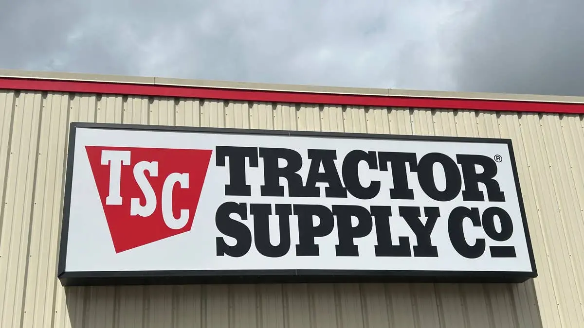 Tractor Supply's Outdoor Heated Cat Cottage Keeps Feral Kitties Warm, Dry and Safe