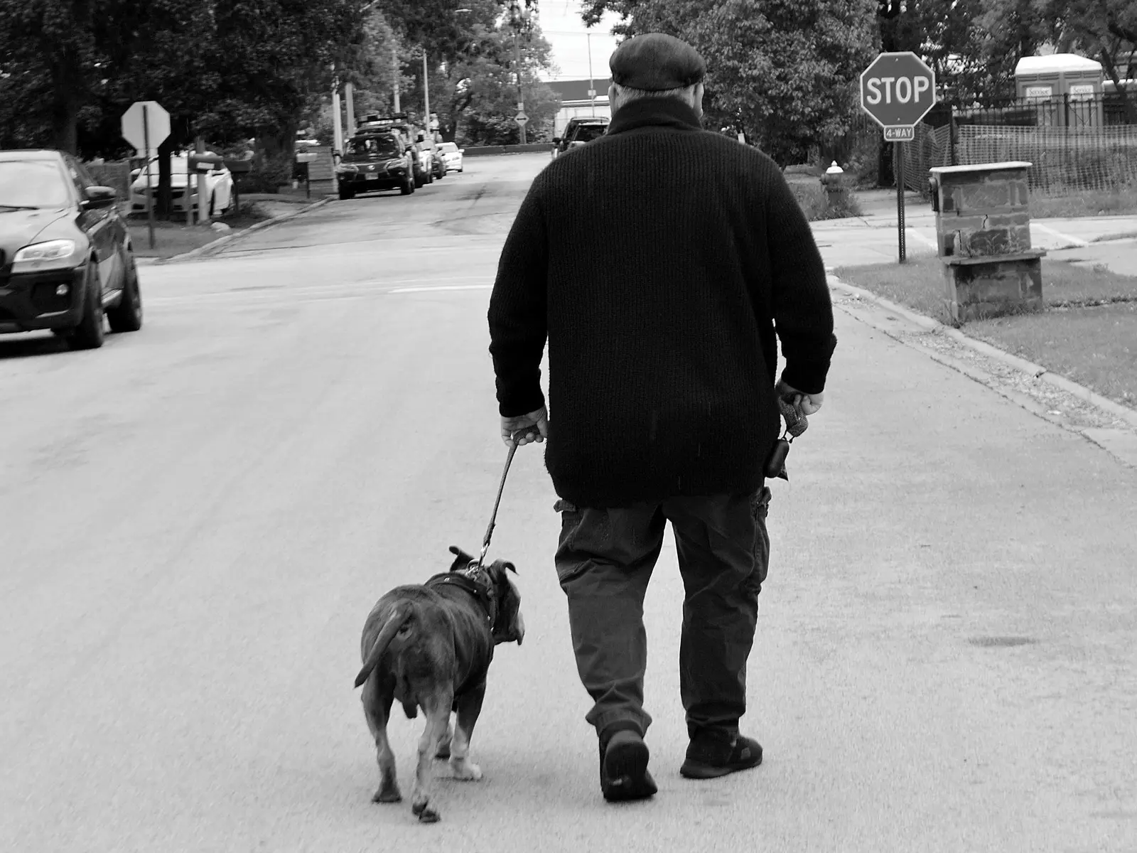 Two Senior Dogs Who Saved Each Other From Loneliness