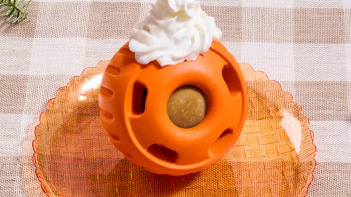 Autumn Flavors Arrive for Canines with New Seasonal Collection