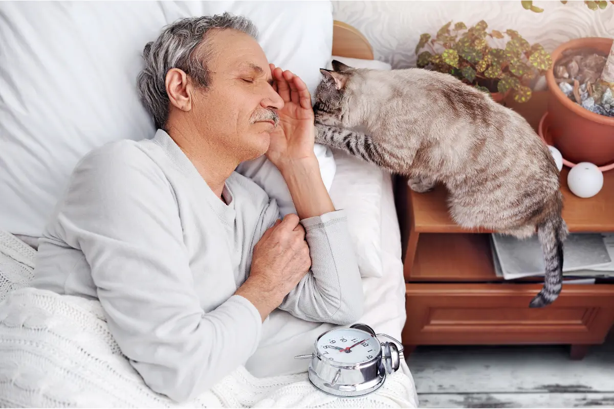 Ten Common Cat Behaviors That Test Owner Patience