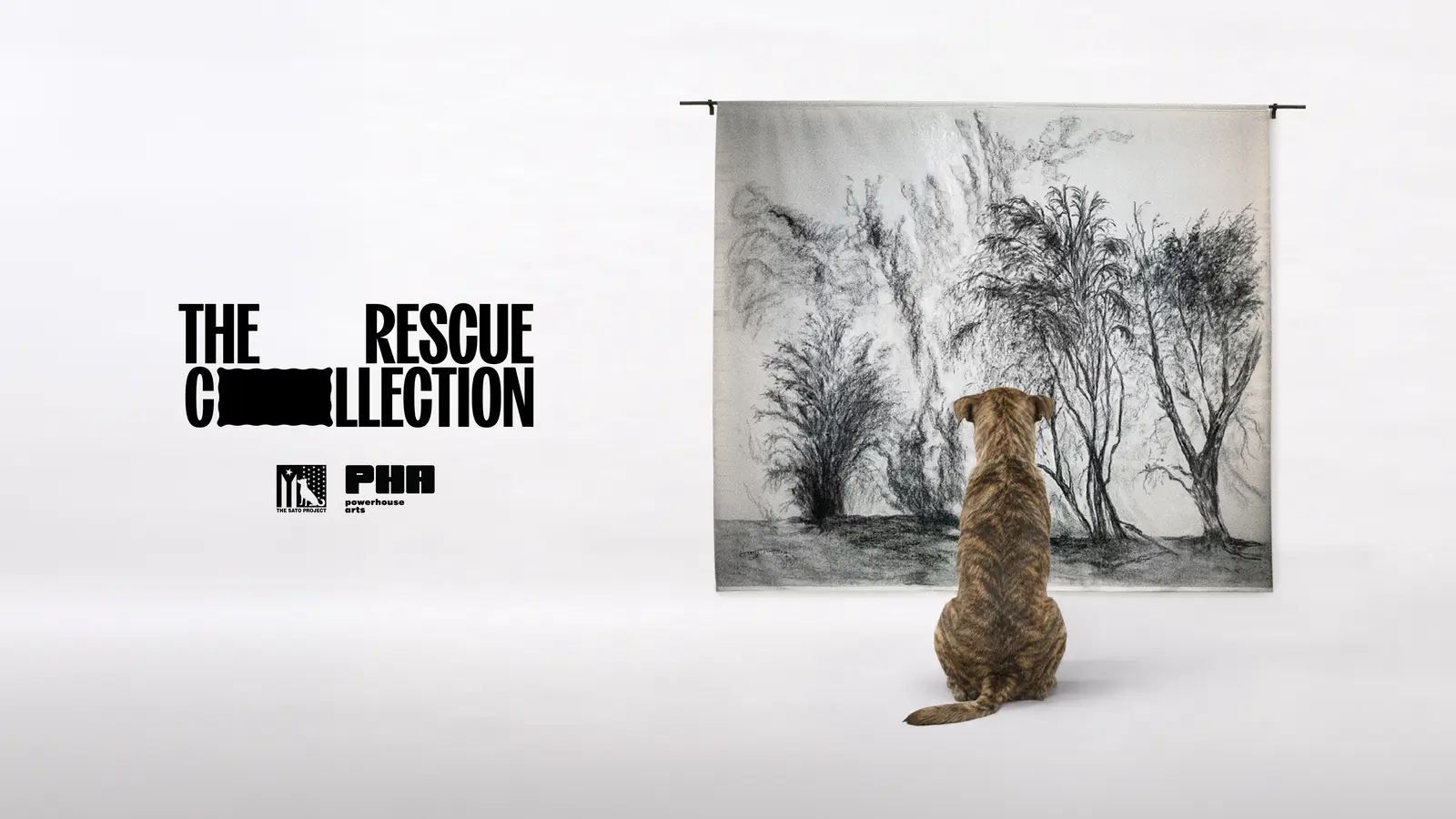 48 Dogs Await Homes: Art Becomes an Adoption Tool