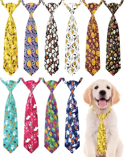 5 Cute Halloween Accessories For Dogs