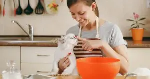 5 Homemade Cat Treat Recipes You Can Make in 30 Minutes