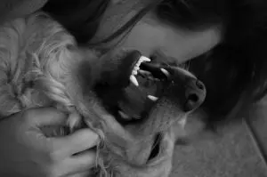 Five Signs Your Dog Outranks Your Humans in the Affection Hierarchy