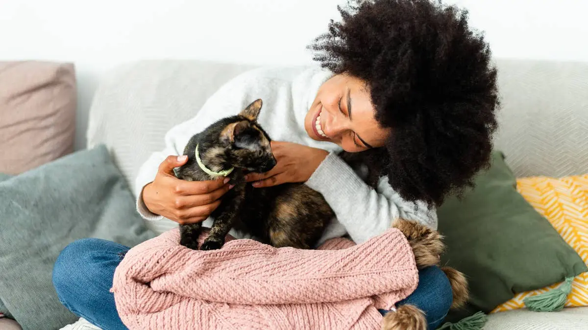 Cat Affection Unveiled: How Your Feline Shows Love Without Words