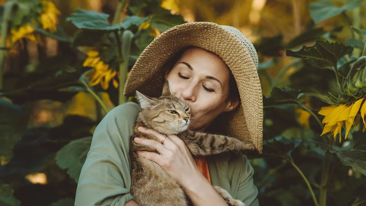 5 Sweet Signs Your Cat Sees You as a Parent, According to Experts