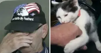 84-Year-Old Man Credits Cat With Saving His Life After 18-Hour Floor Incident
