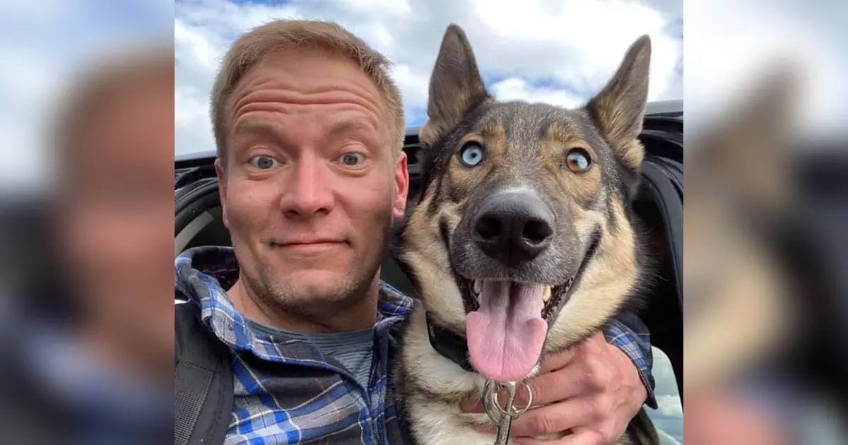 A Heartwarming Reunion for Owner and Service Dog