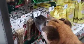 A Special Shopping Spree Changes Everything For King