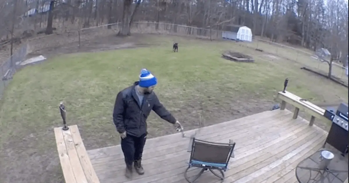 A viral video showing a man interacting with a dog has sparked intense controversy online
