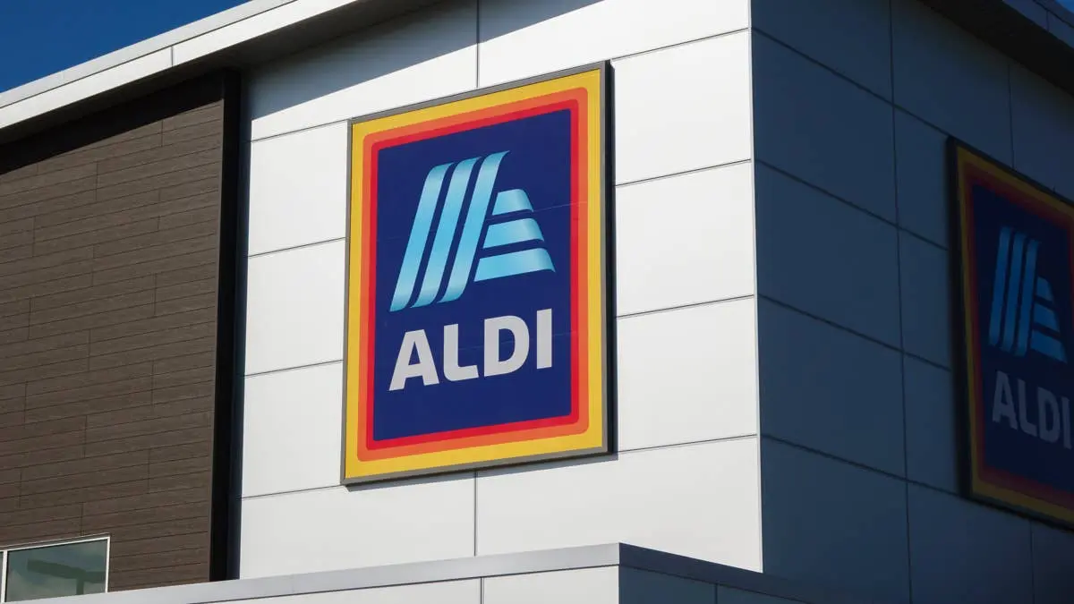 Aldi Unveils $7 Halloween Cat Toy Shaped Like Dracula’s Gaping Mouth