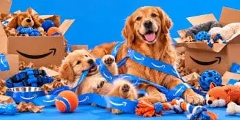 Online Retailer Offers Significant Pet Product Discounts