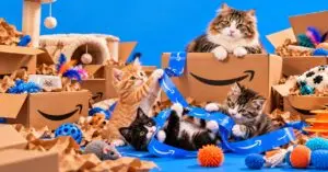 Prime Members Score Big Savings on Cat Supplies