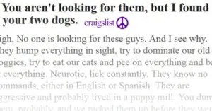 Animal Rescuer Issues Sharp Rebuke After Two Dogs Abandoned in Public
