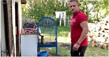Animal Rescuers Intervene After Puppy Found Confined in Birdcage