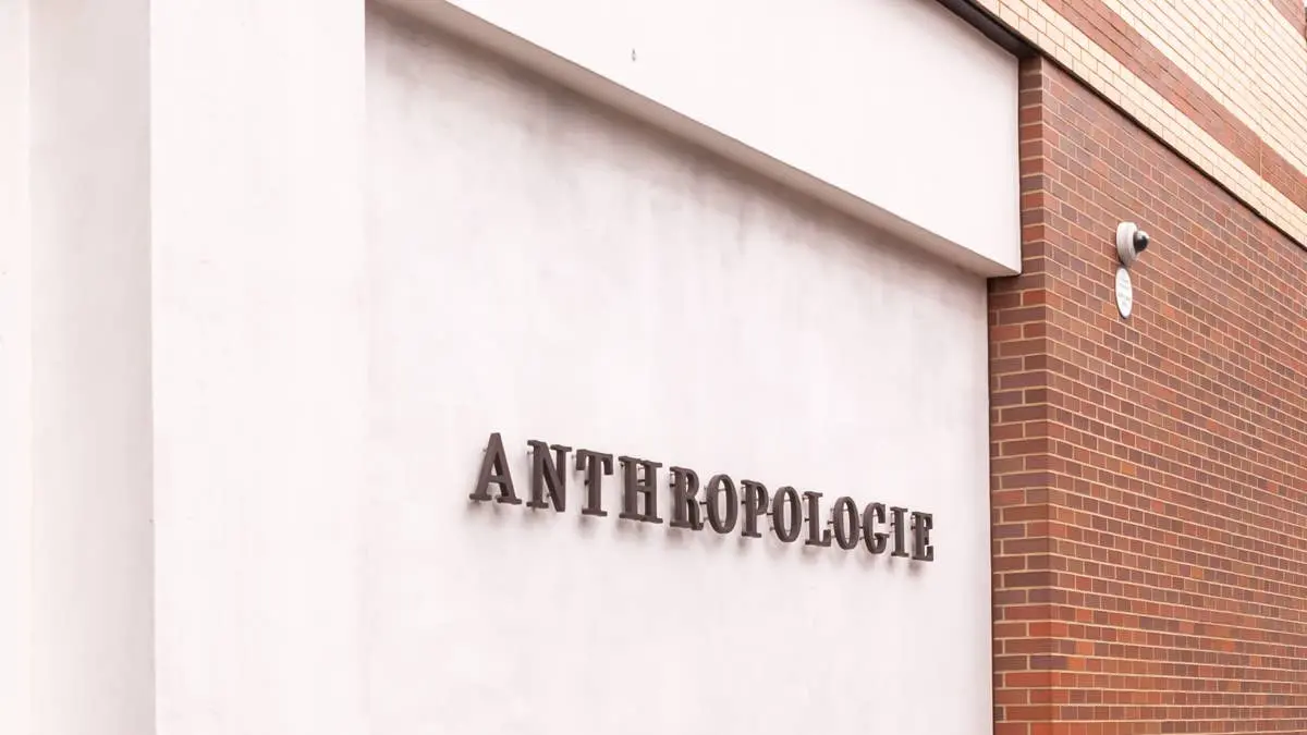 Anthropologie’s Clear Acrylic Pet Gate Keeps Pets Out Without Ruining the Room
