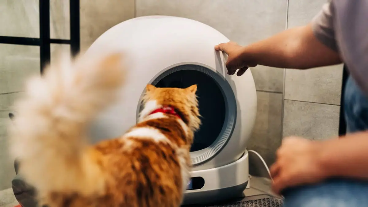 Automated Litter Box Revolutionizes Pet Care by Adding Automatic Refills