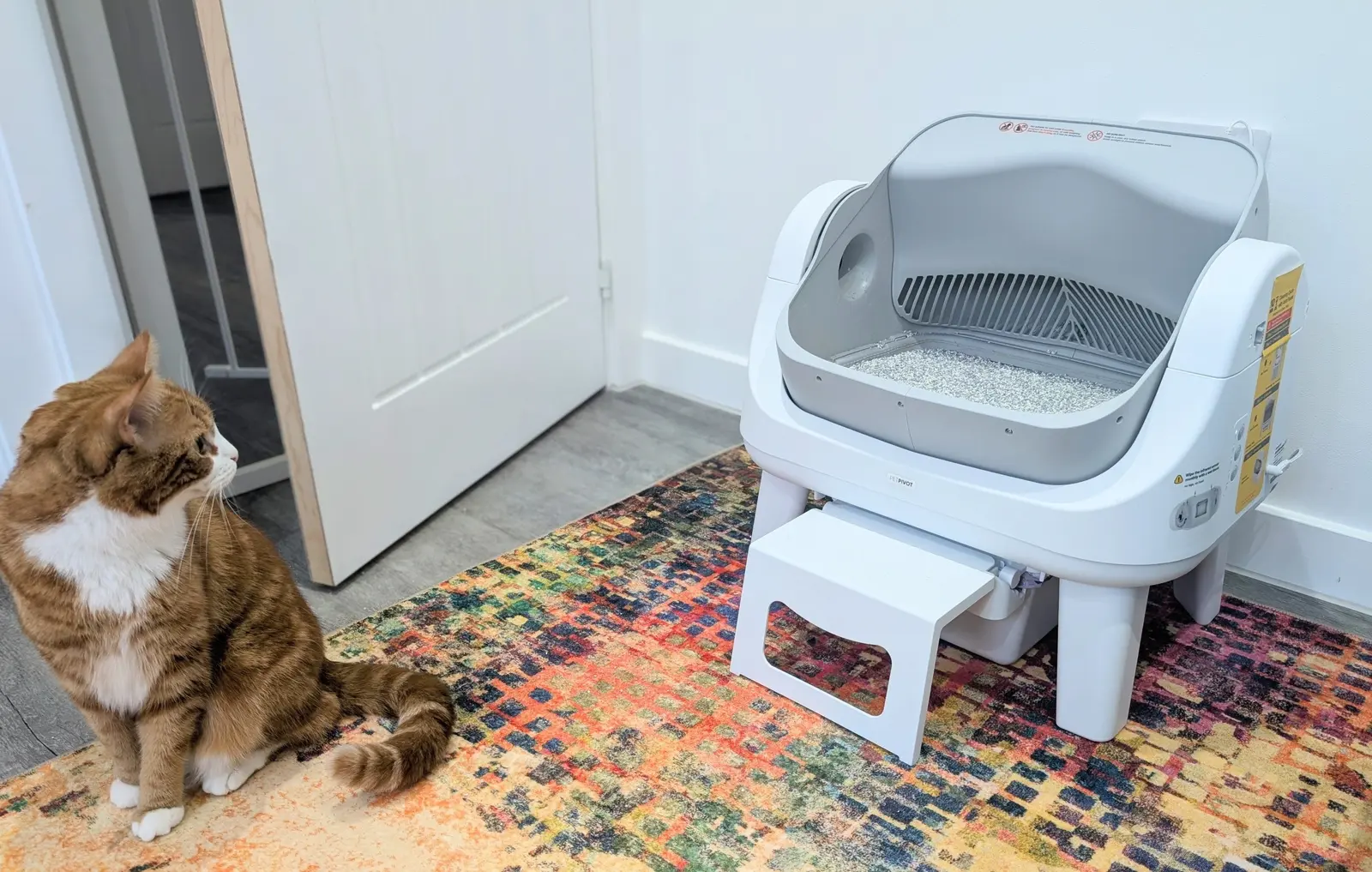 AutoScooper 12 Review 2026: Efficiency and Design for Pet Owners