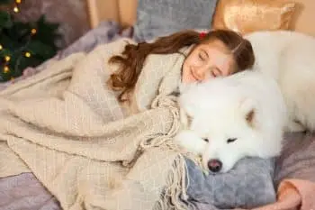 The Perfect Furry Companions for Autumn Evenings