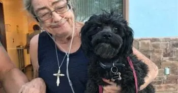Tears at the Phoenix Shelter Lobby