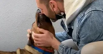 Brutus: A Shelter Dog's Journey From Fear to Hope