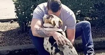 Buddy’s Rescue: From Abandoned Pup to Hopeful Companion
