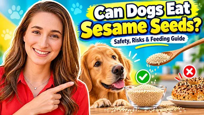 Can Dogs Safely Enjoy Sesame Seeds?