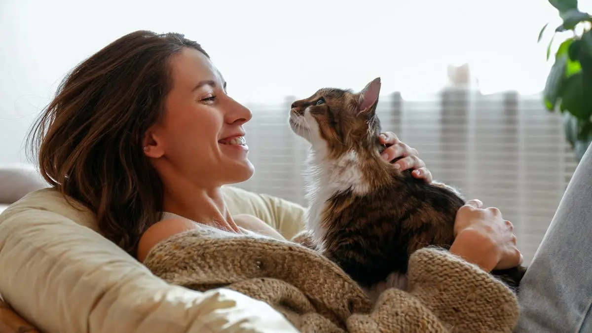 The Quiet Signal That Shows Your Cat Truly Understands You