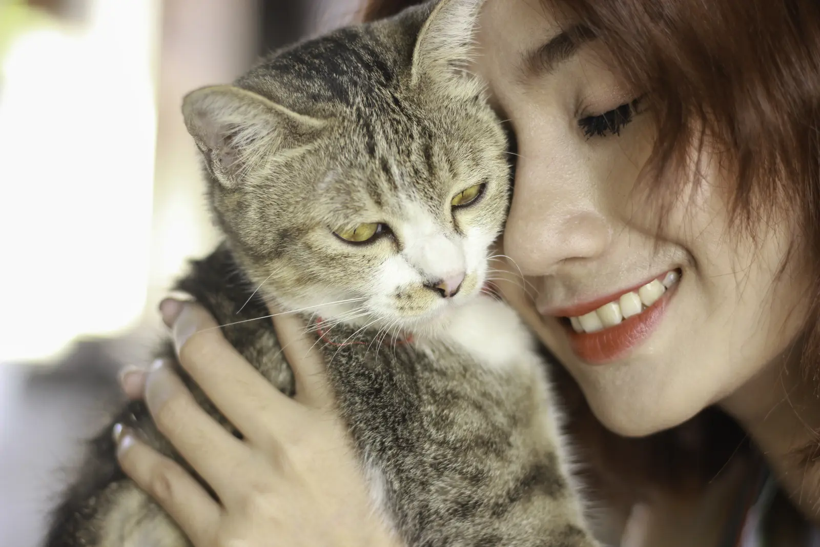 Cats and National Happiness: Correlation, Not Causation