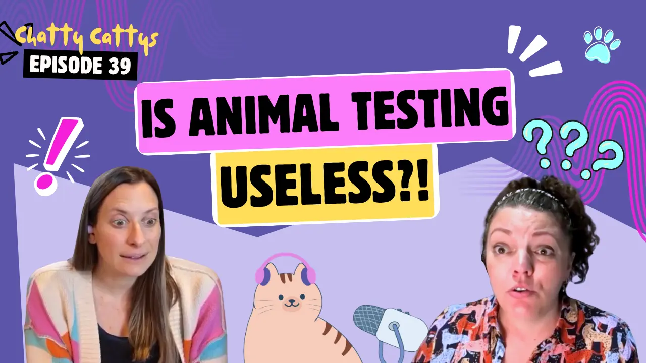 Catster’s Chatty Cattys Podcast Tackles Pet Quirks, Feline Anatomy, and Animal Testing Ethics