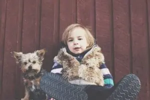 Choosing the Best Small Canine Companions for Your Household