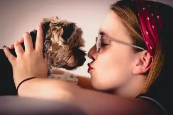 Combating Canine Halitosis with Smart Daily Snacks