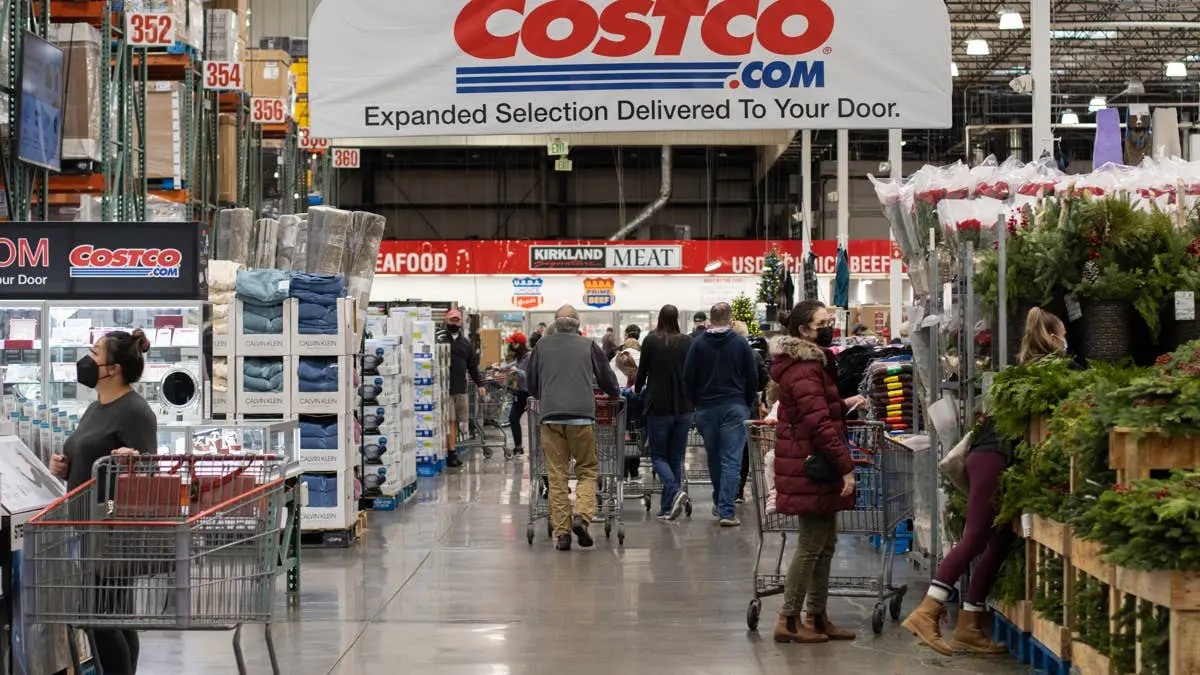 Costco Launches Foldable Pet Stroller for Comfortable Walks