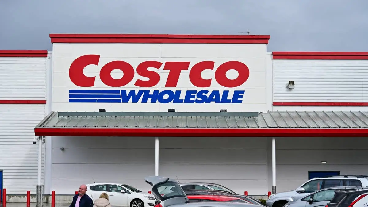 Costco's Pokémon Dog Toys Let Your Pup Finally Catch 'Em All