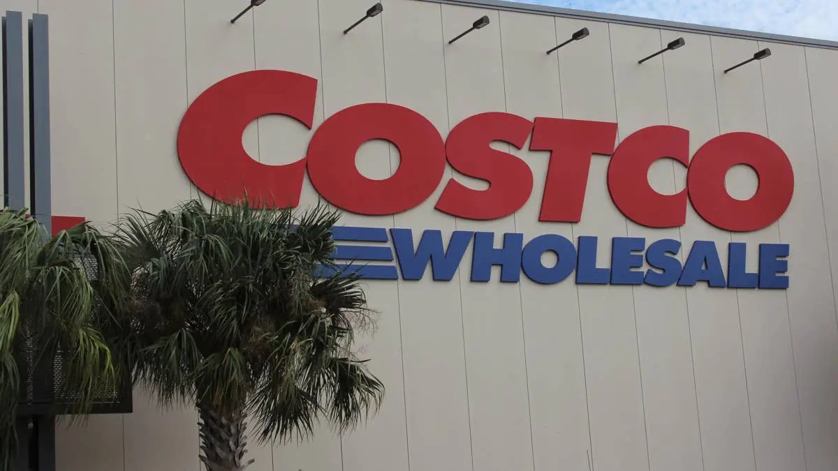 Costco Launches Versatile 3-in-1 Pet Bed for Winter