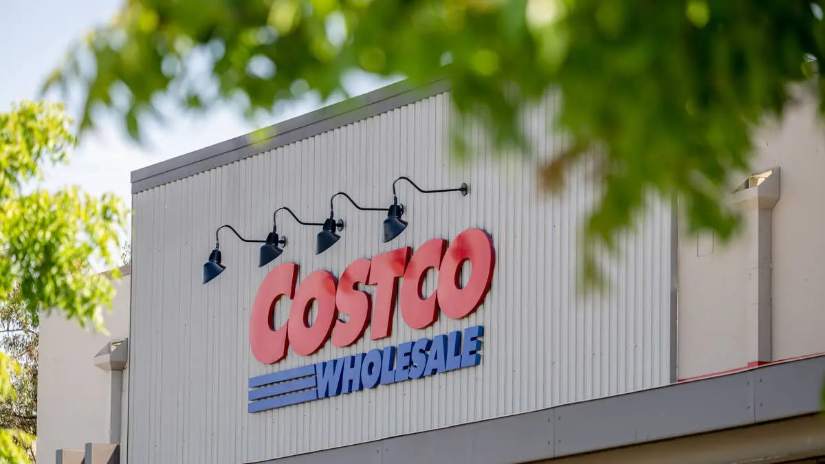 Costco introduces a distinctive 47-inch alpaca-shaped cat tree