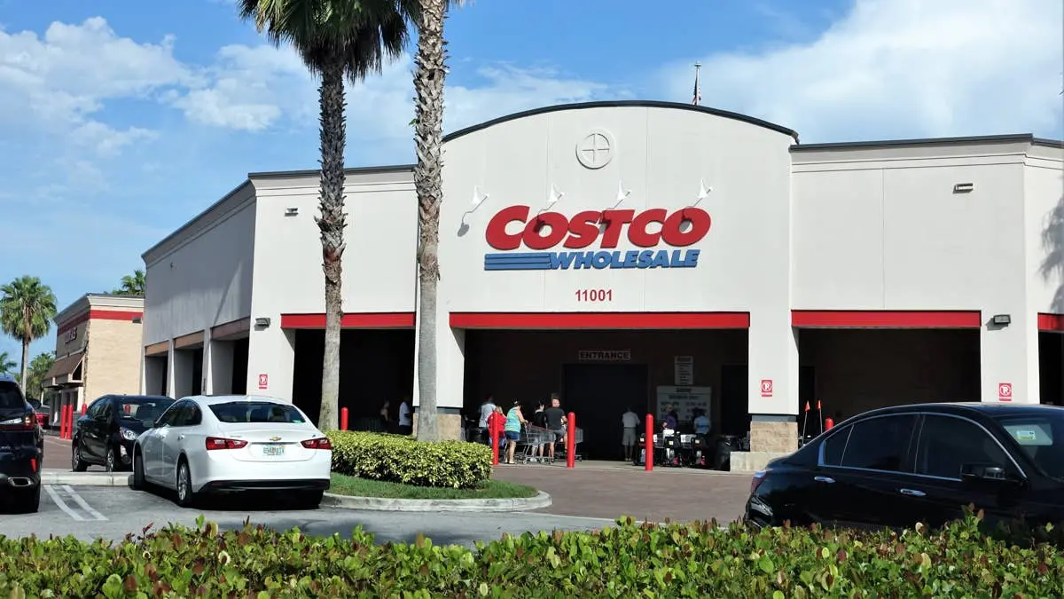 Costco Solar Spotlights Offer Affordable Safety for Nighttime Dog Walks