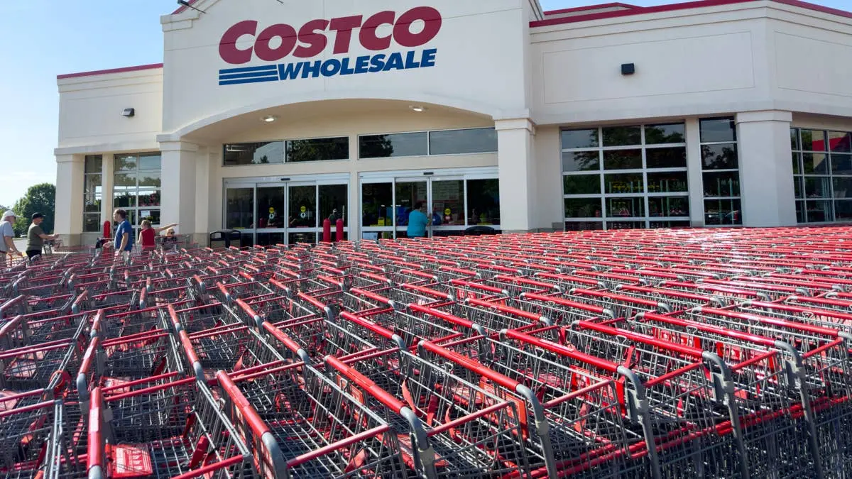 Costco Launches Giant Dinosaur-Themed Cat Tree for Feline Playtime
