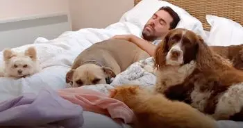 Couple Runs Household Entirely On Rescue Animals