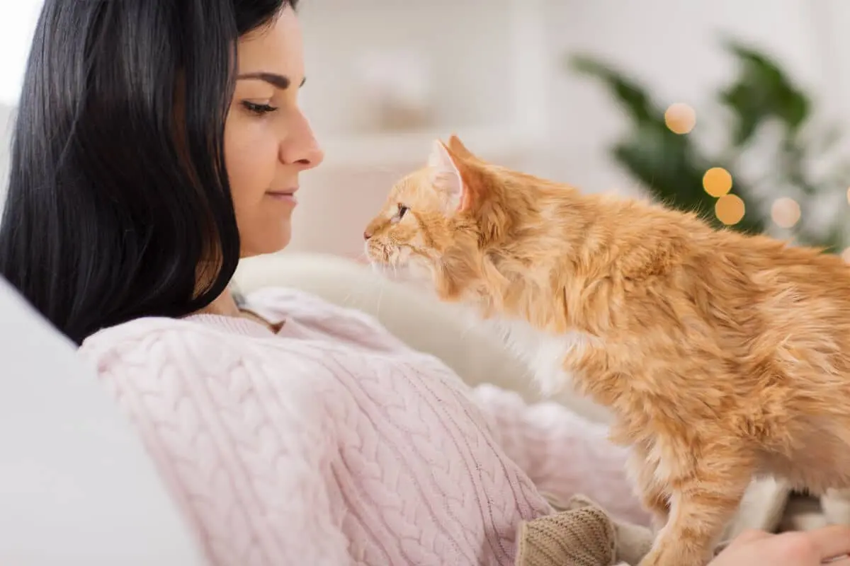 You Have No Idea How Many Embarrassing Moments Your Cat Has Quietly Ignored