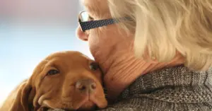 Do Dogs Really Hate Being Hugged By Humans?