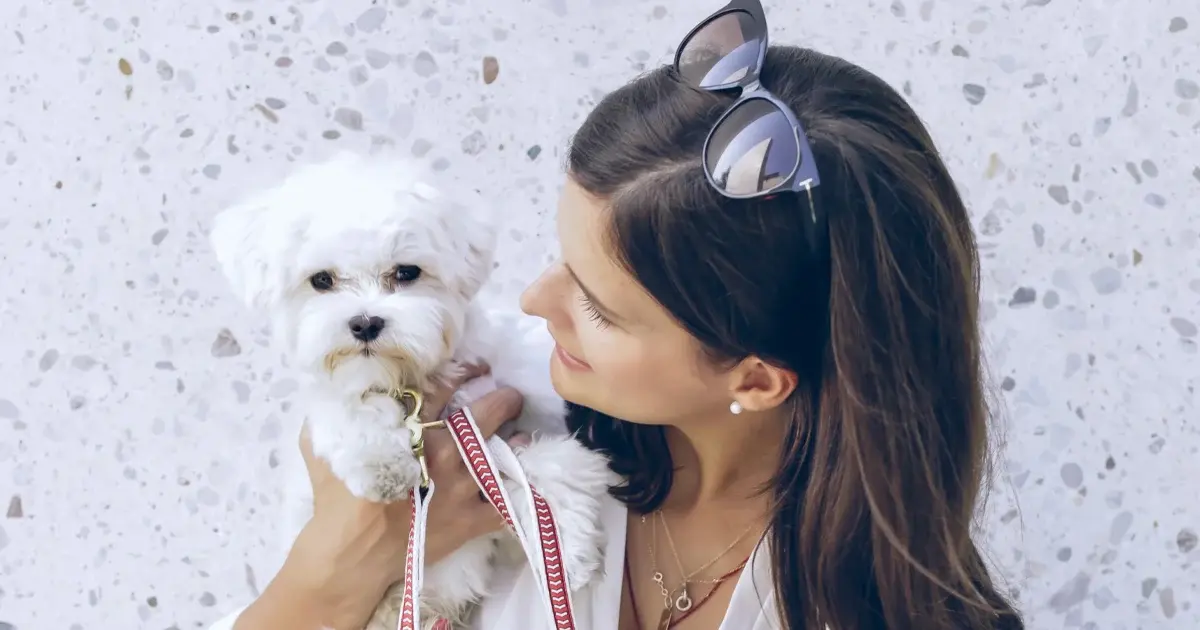 Pets and Parenting: Can Owners Claim the Title?